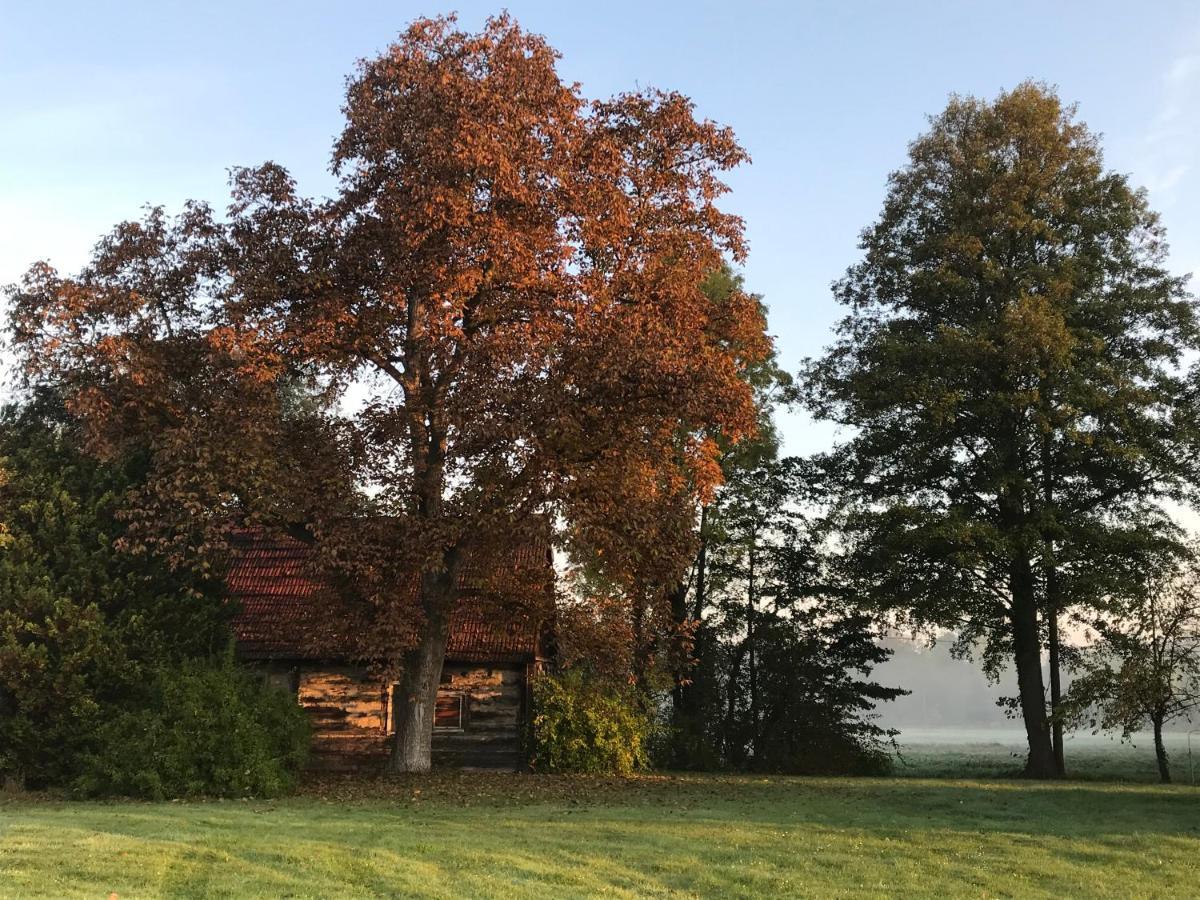 Spreewald Ferienwohnung Am Fliess Mit Viel Platz Kolonie  Екстер'єр фото