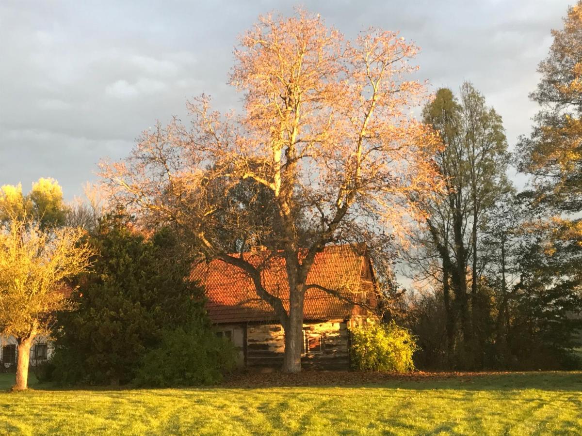 Spreewald Ferienwohnung Am Fliess Mit Viel Platz Kolonie  Екстер'єр фото